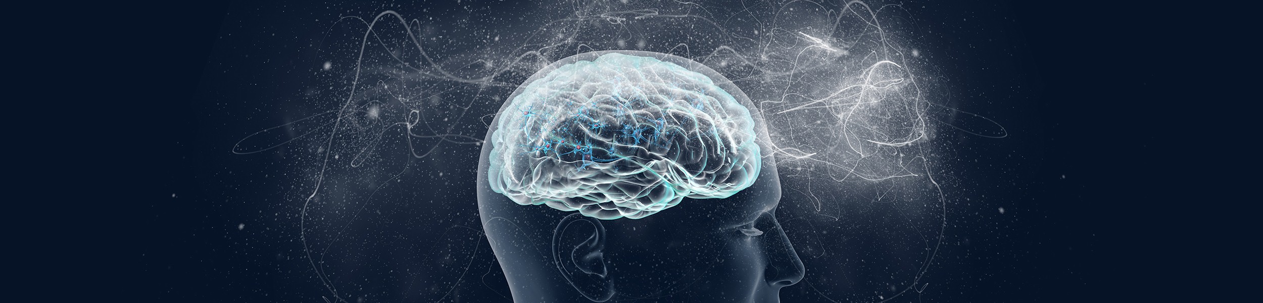 illustration of human brain 